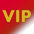 Le garde VIP